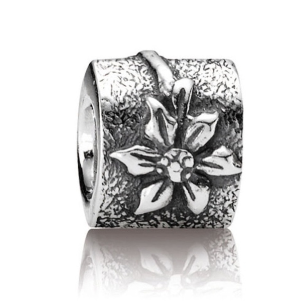 Pandora 2 sided oval Poinsettia Charm •Retired